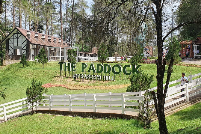 The Paddock