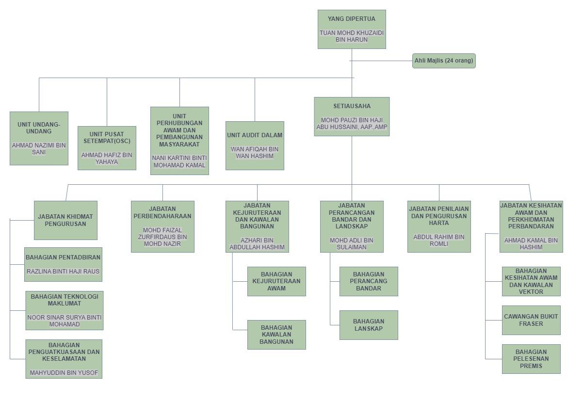 CARTA ORGANISASI 