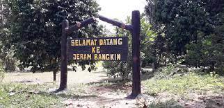 jeram 1 